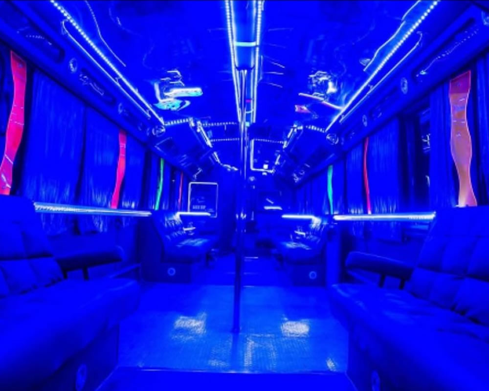 NIGHT BUS ECONOMY 002